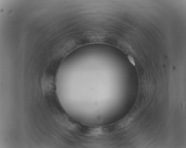 X0000062830083200601201623