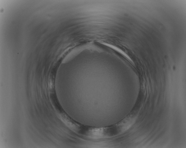 X0000062830084200601201623