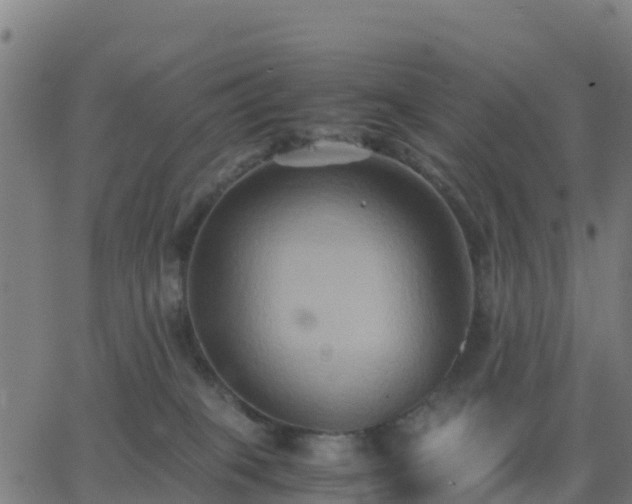 X0000062830085200601201623