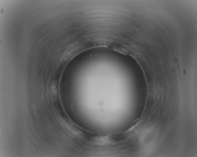 X0000062830086200601201623