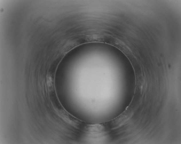 X0000062830087200601201623