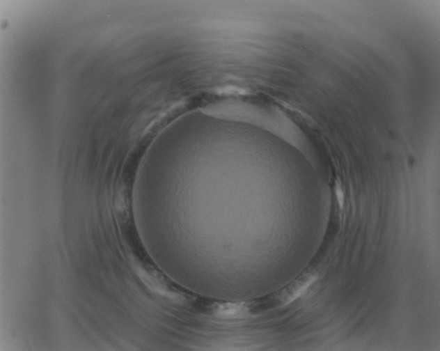 X0000062830088200601201623