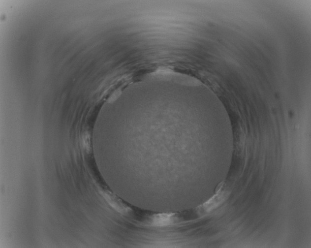 X0000062830090200601201623