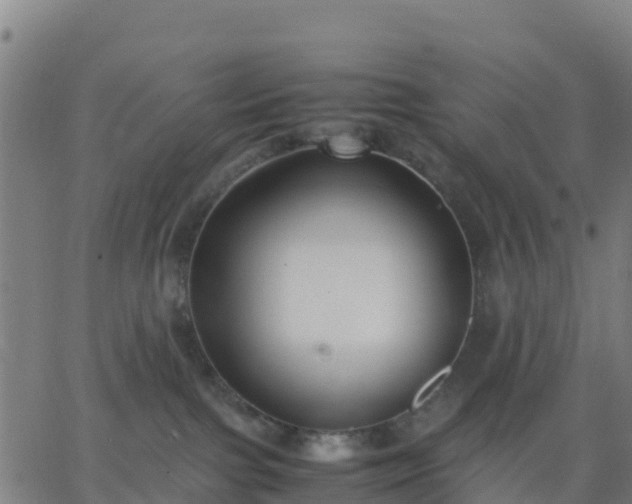 X0000062830091200601201623