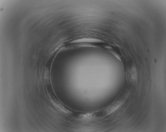 X0000062830092200601201623