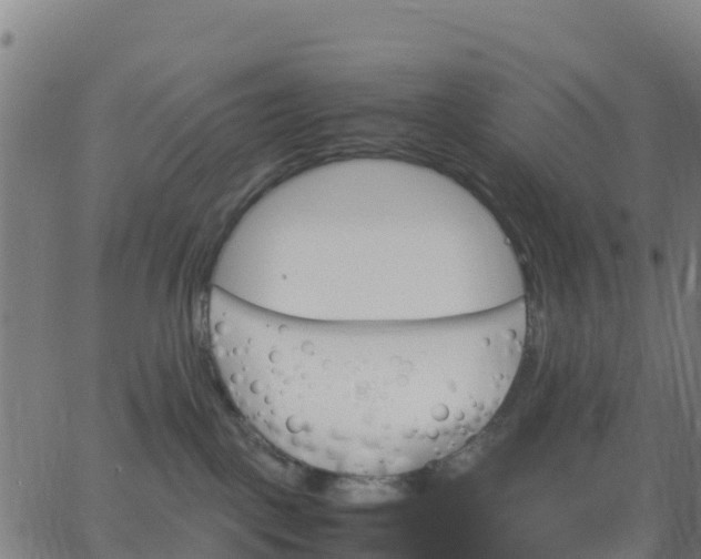 X0000062830093200601201623