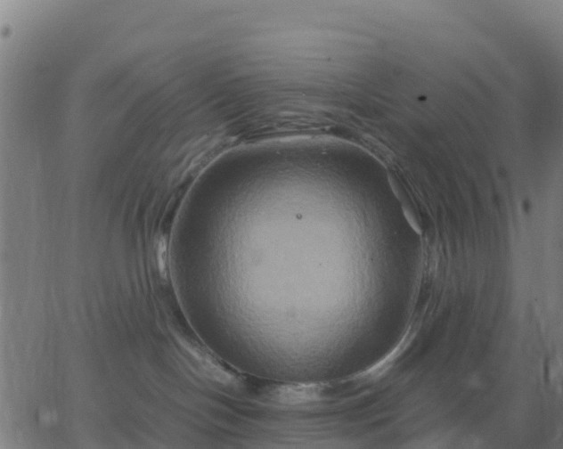 X0000062830094200601201624