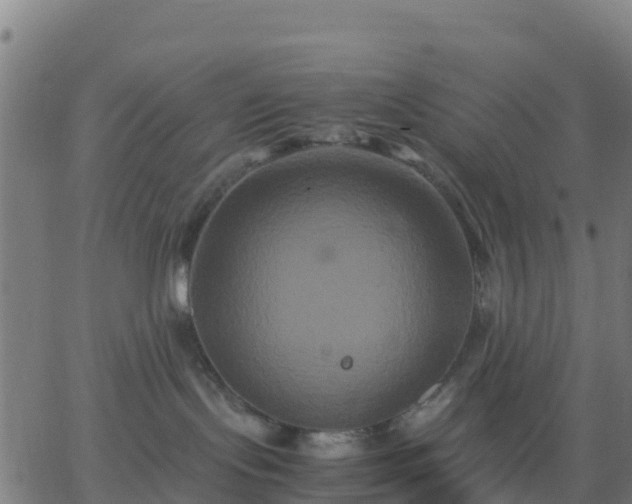 X0000062830095200601201624