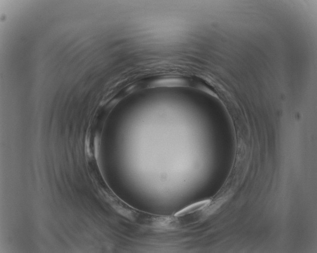 X0000062830096200601201624