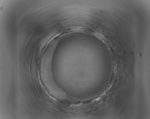 X0000062830097200601201623