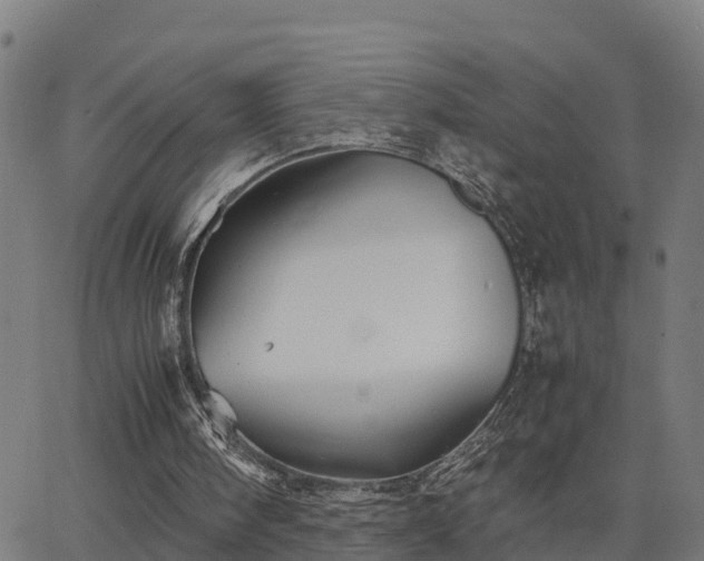 X0000062830098200601201623