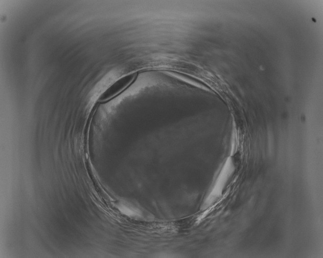 X0000062830099200601201623