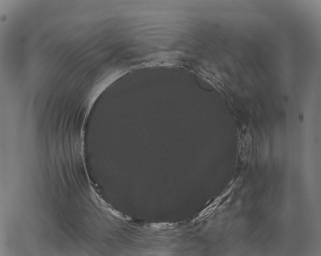 X0000062830100200601201623