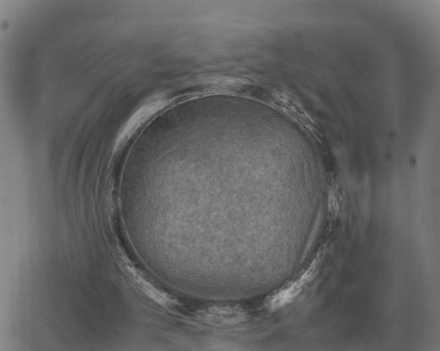 X0000062830101200601201623