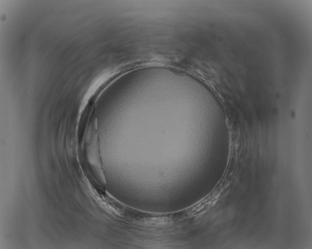 X0000062830102200601201623