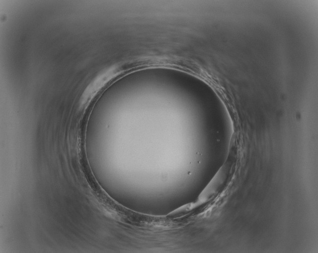 X0000062830103200601201623