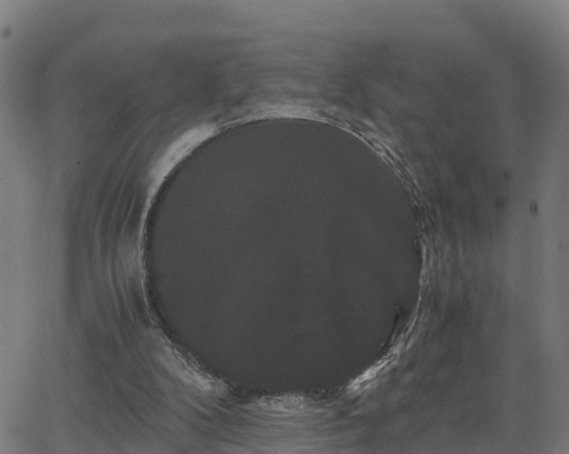 X0000062830104200601201623