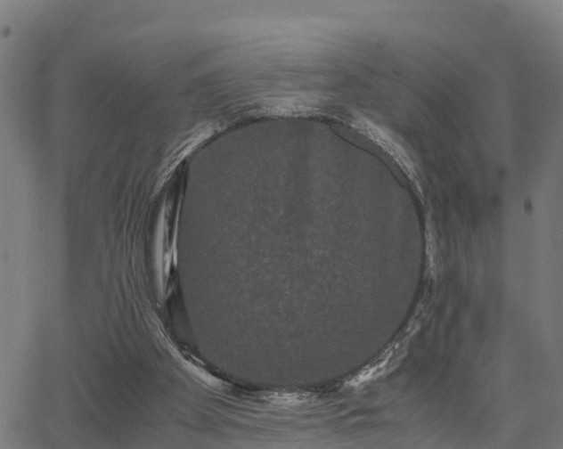 X0000062830105200601201623