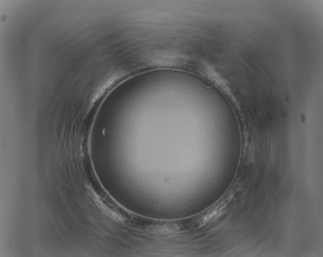 X0000062830106200601201623