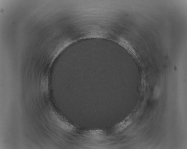 X0000062830108200601201623