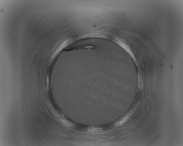 X0000062830109200601201623