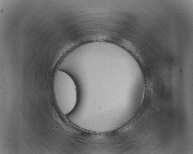 X0000062830110200601201623