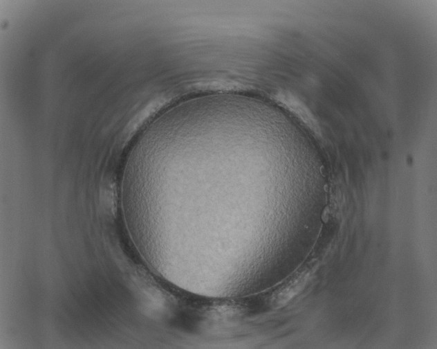 X0000062830111200601201623