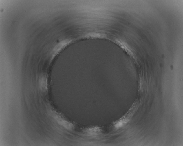 X0000062830112200601201623