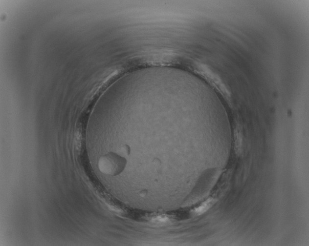 X0000062830113200601201622