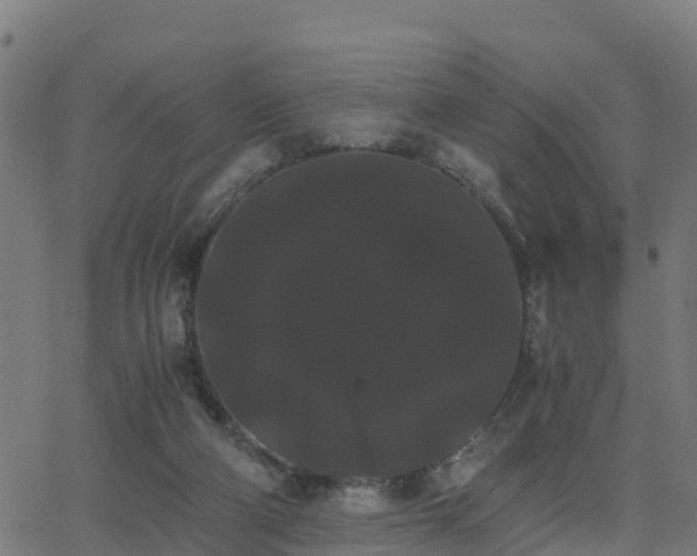 X0000062830114200601201622