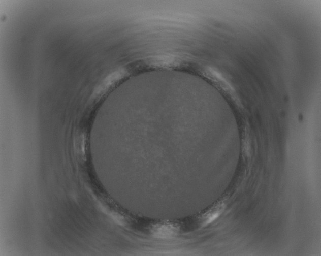 X0000062830115200601201622