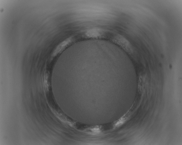 X0000062830116200601201622