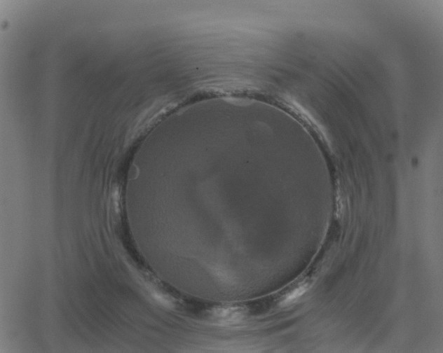 X0000062830117200601201622