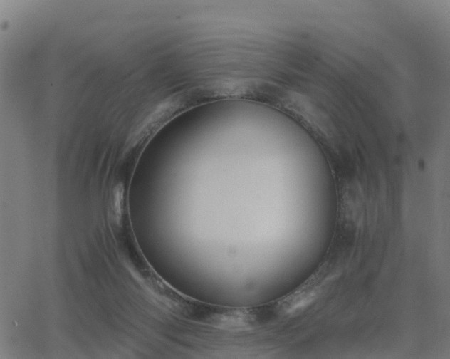 X0000062830118200601201622