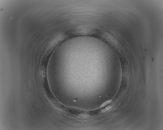 X0000062830119200601201622