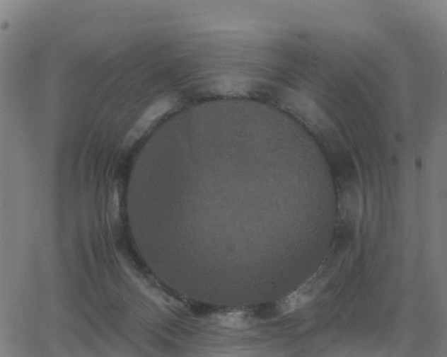 X0000062830120200601201622