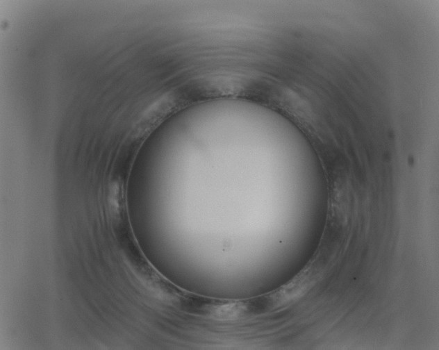 X0000062830122200601201622