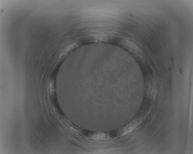 X0000062830123200601201622