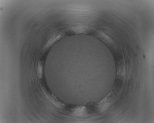 X0000062830124200601201622