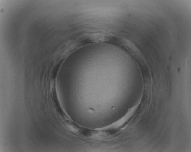 X0000062830125200601201622