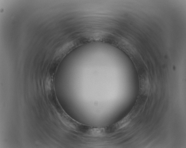 X0000062830126200601201622