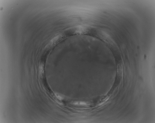 X0000062830127200601201622