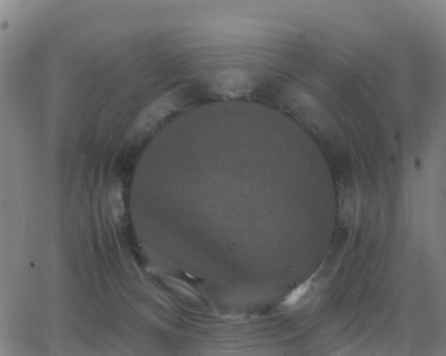 X0000062830128200601201622