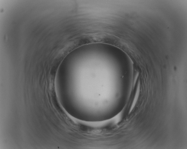 X0000062830129200601201622