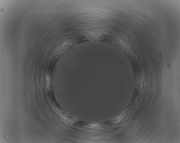 X0000062830130200601201622