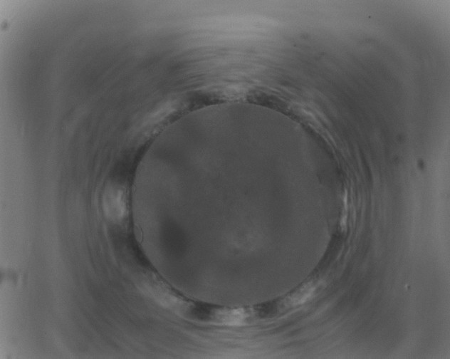 X0000062830131200601201622