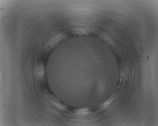 X0000062830132200601201622