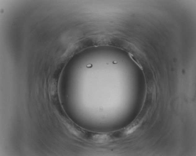 X0000062830133200601201622