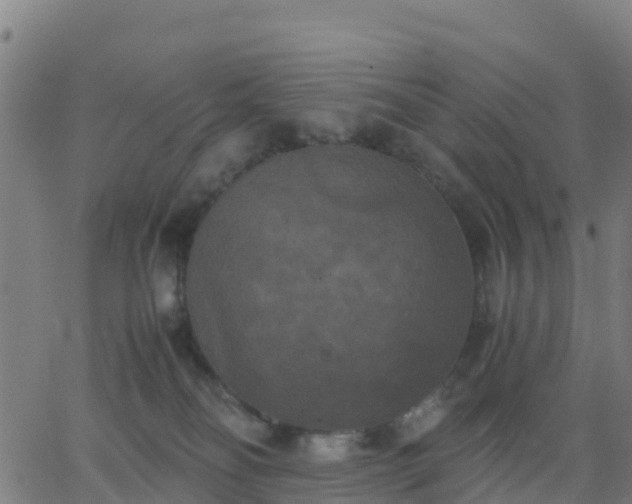 X0000062830134200601201622