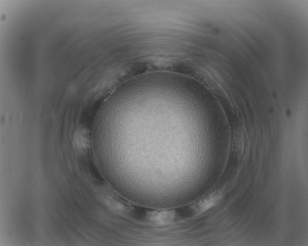 X0000062830135200601201622